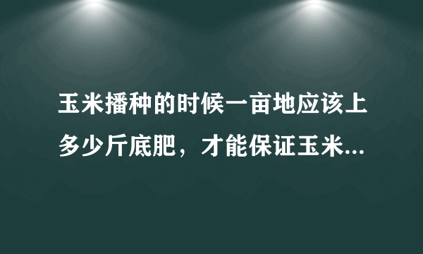 玉米播种的时候一亩地应该上多少斤底肥，才能保证玉米产量高呢？