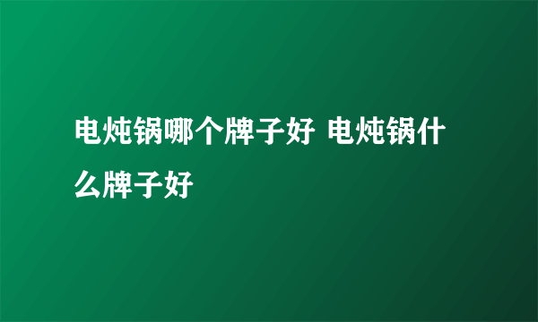 电炖锅哪个牌子好 电炖锅什么牌子好