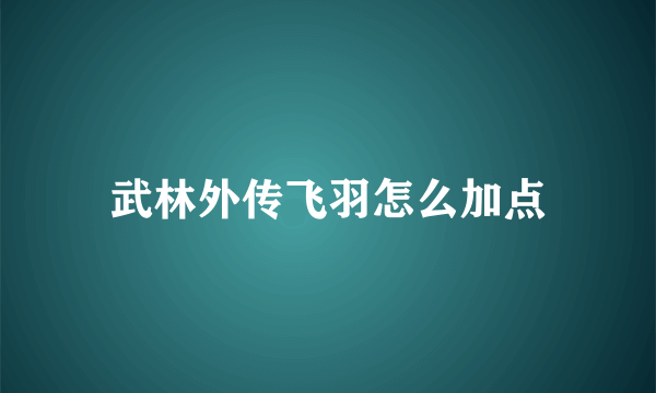 武林外传飞羽怎么加点