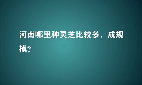 河南哪里种灵芝比较多，成规模？