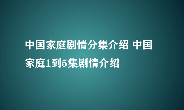 中国家庭剧情分集介绍 中国家庭1到5集剧情介绍