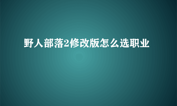 野人部落2修改版怎么选职业