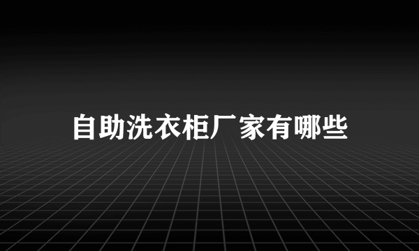 自助洗衣柜厂家有哪些