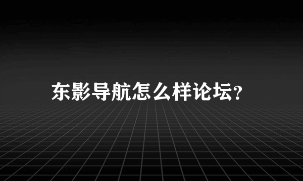 东影导航怎么样论坛？