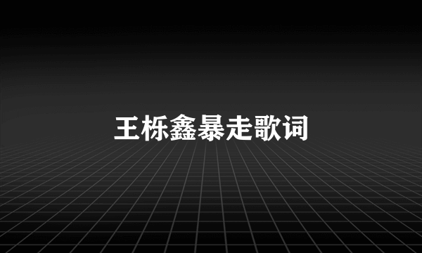 王栎鑫暴走歌词