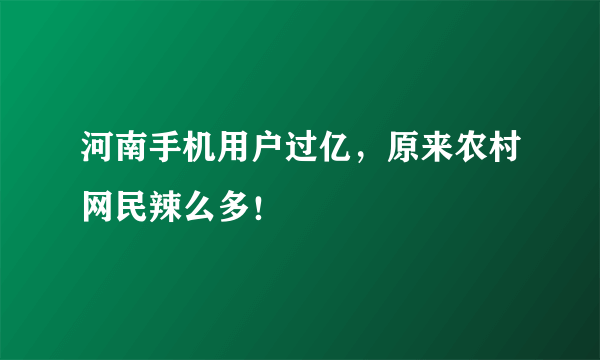 河南手机用户过亿，原来农村网民辣么多！