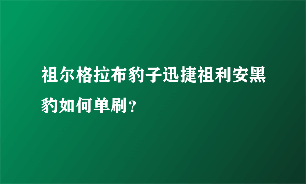 祖尔格拉布豹子迅捷祖利安黑豹如何单刷？