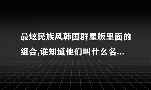 最炫民族风韩国群星版里面的组合,谁知道他们叫什么名字!!!!