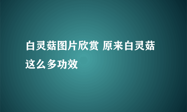 白灵菇图片欣赏 原来白灵菇这么多功效