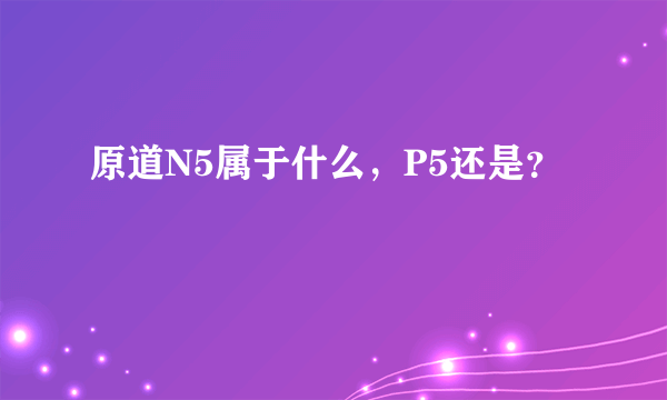 原道N5属于什么，P5还是？