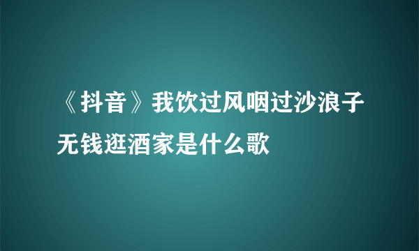 《抖音》我饮过风咽过沙浪子无钱逛酒家是什么歌