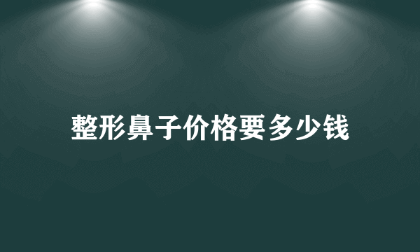 整形鼻子价格要多少钱