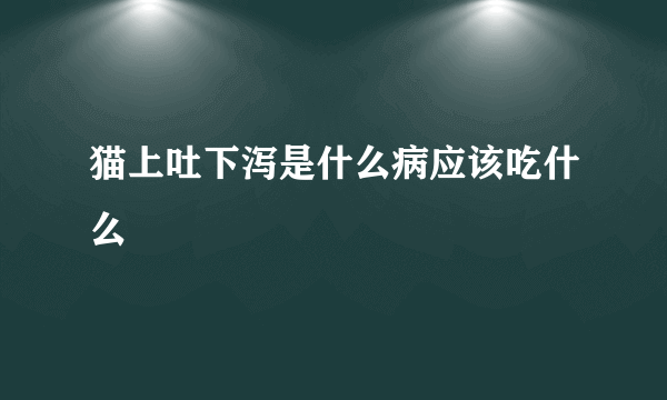 猫上吐下泻是什么病应该吃什么