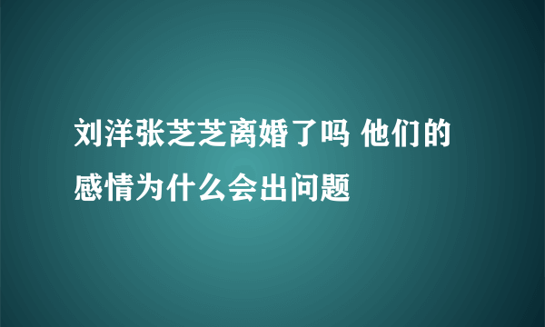 刘洋张芝芝离婚了吗 他们的感情为什么会出问题