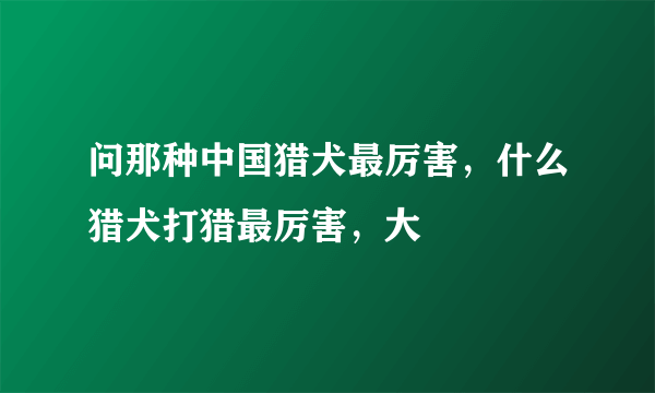 问那种中国猎犬最厉害，什么猎犬打猎最厉害，大