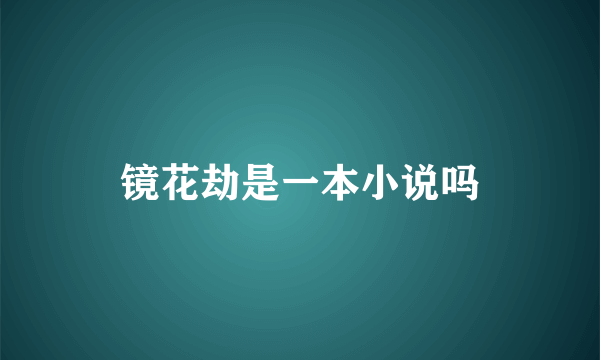 镜花劫是一本小说吗