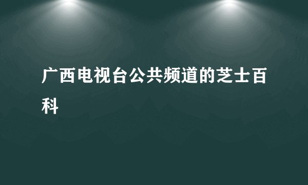 广西电视台公共频道的芝士百科