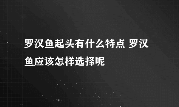 罗汉鱼起头有什么特点 罗汉鱼应该怎样选择呢