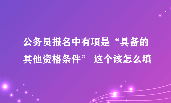 公务员报名中有项是“具备的其他资格条件” 这个该怎么填