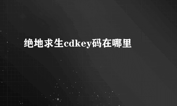 绝地求生cdkey码在哪里