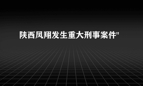 陕西凤翔发生重大刑事案件