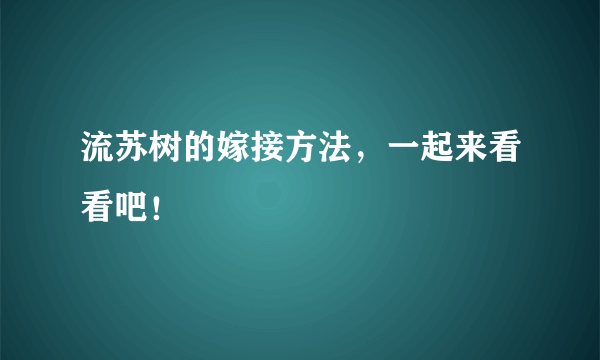 流苏树的嫁接方法，一起来看看吧！