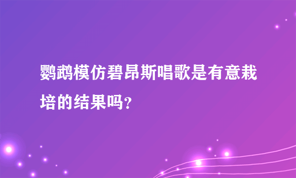 鹦鹉模仿碧昂斯唱歌是有意栽培的结果吗？