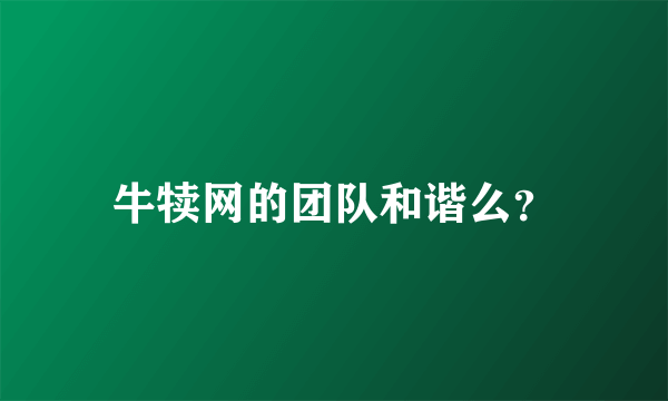 牛犊网的团队和谐么？