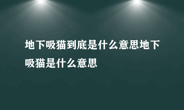 地下吸猫到底是什么意思地下吸猫是什么意思