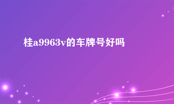 桂a9963v的车牌号好吗