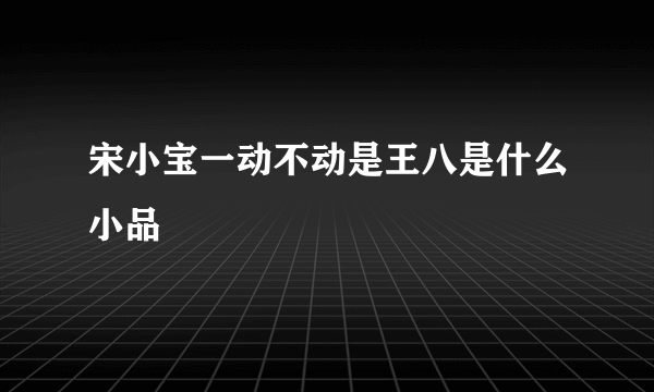 宋小宝一动不动是王八是什么小品