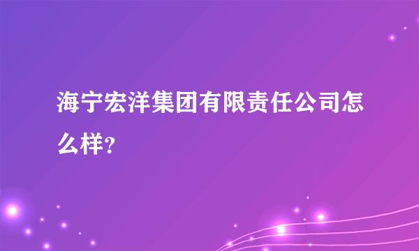 海宁宏洋集团有限责任公司怎么样？