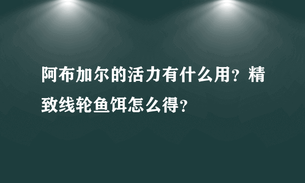 阿布加尔的活力有什么用？精致线轮鱼饵怎么得？