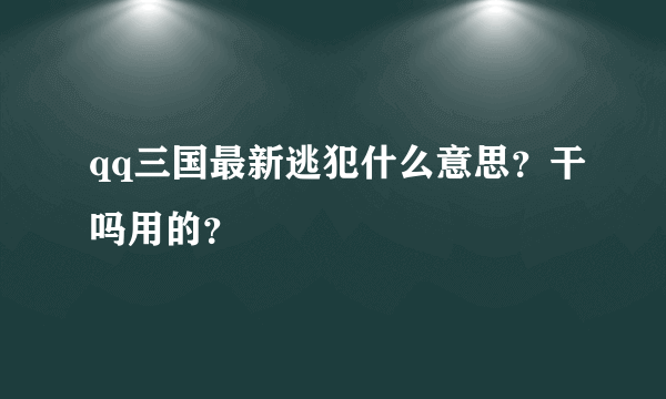 qq三国最新逃犯什么意思？干吗用的？