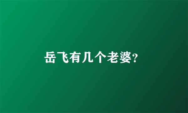 岳飞有几个老婆？