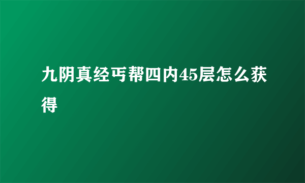 九阴真经丐帮四内45层怎么获得