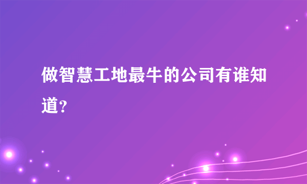 做智慧工地最牛的公司有谁知道？