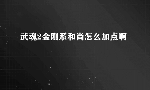 武魂2金刚系和尚怎么加点啊