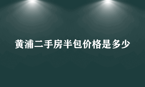 黄浦二手房半包价格是多少