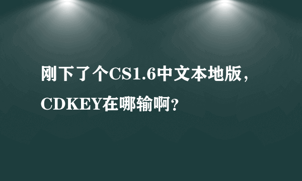 刚下了个CS1.6中文本地版，CDKEY在哪输啊？