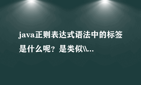 java正则表达式语法中的标签是什么呢？是类似\\S,\\d这样的东西吗？