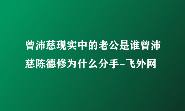 曾沛慈现实中的老公是谁曾沛慈陈德修为什么分手-飞外网