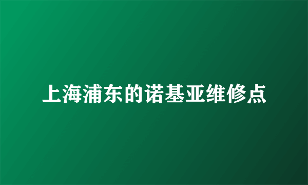 上海浦东的诺基亚维修点