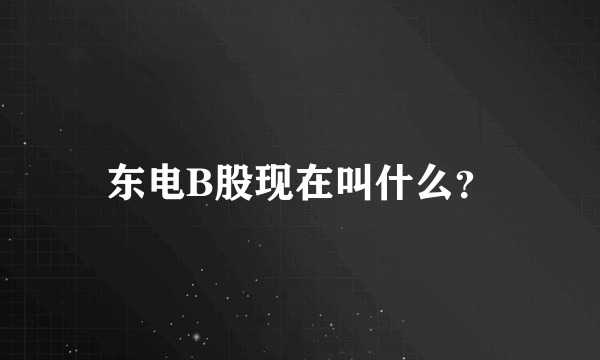 东电B股现在叫什么？