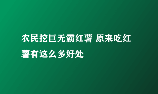 农民挖巨无霸红薯 原来吃红薯有这么多好处