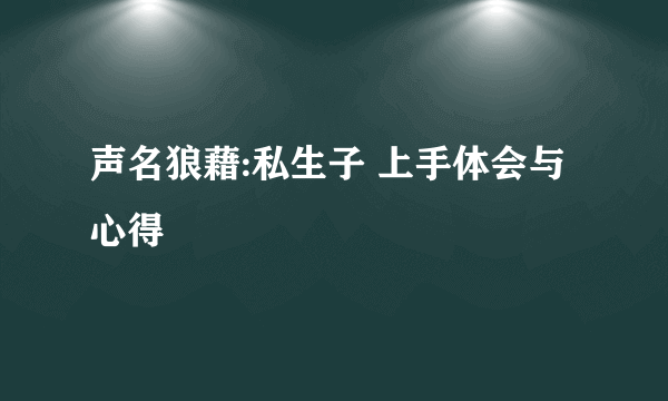 声名狼藉:私生子 上手体会与心得