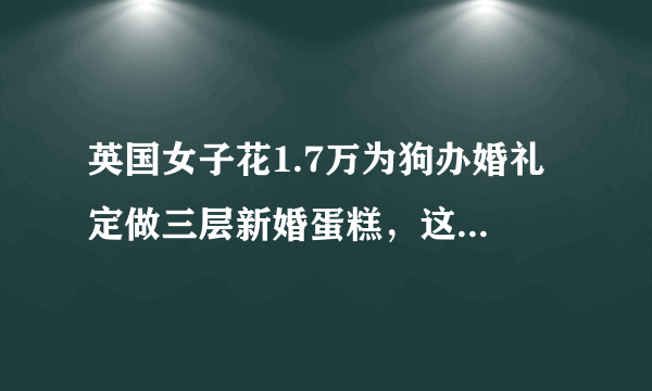 英国女子花1.7万为狗办婚礼 定做三层新婚蛋糕，这样的消费观你能接受吗？