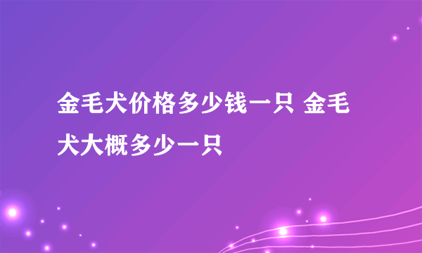 金毛犬价格多少钱一只 金毛犬大概多少一只