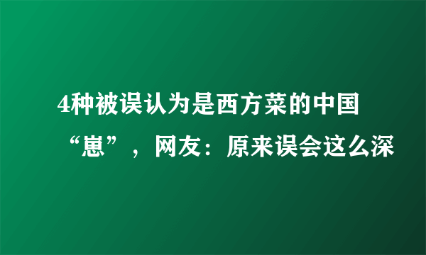 4种被误认为是西方菜的中国“崽”，网友：原来误会这么深