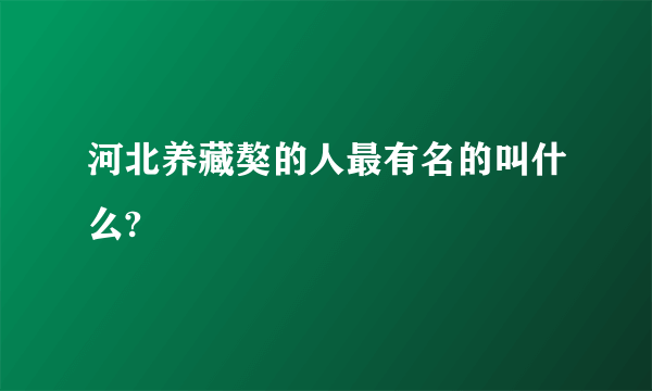 河北养藏獒的人最有名的叫什么?